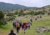 DÍA DE LOS CERROS