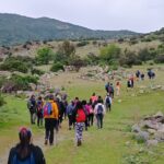 DÍA DE LOS CERROS