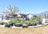 ARBORIZACIÓN COMUNITARIA