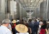 LANZAMIENTO DE ENOTURISMO SUSTENTABLE EN EL MAULE