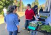 TALLER DE RECICLAJE, COMPOSTAJE Y CULTIVOS SUSTENTABLES
