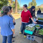 TALLER DE RECICLAJE, COMPOSTAJE Y CULTIVOS SUSTENTABLES